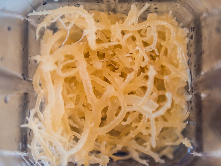 what's the sea moss?