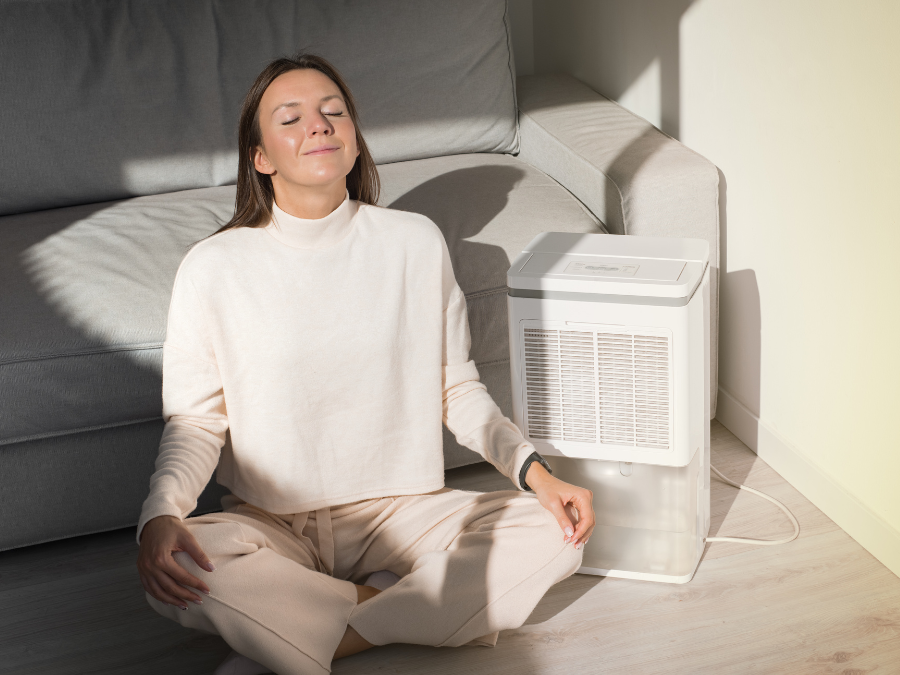 Does a dehumidifier really work?