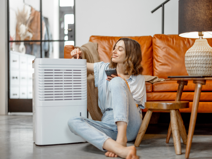 dehumidifier vs air conditioners vs air purifier