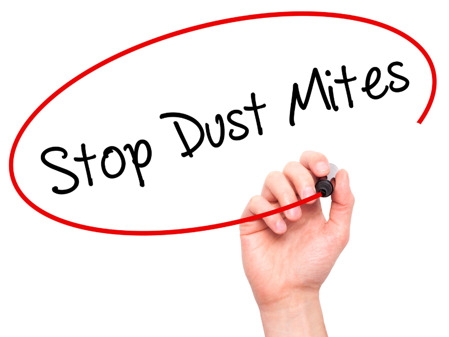 Stop dust mites