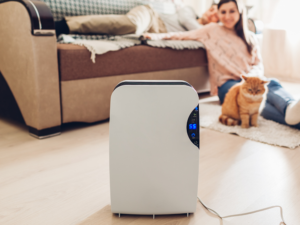 Does a Dehumidifier Help with Allergies?